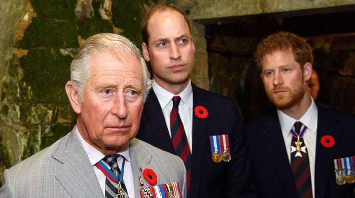 Prince Harry out of excuses to ditch meeting with King Charles, William