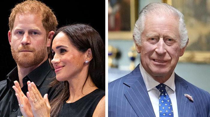 Prince Harry knows Royals will ‘look down on’ Meghan new brand