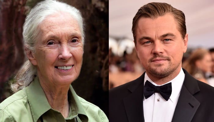 Leonardo DiCaprio pens birthday wish for great friend Jane Goodall