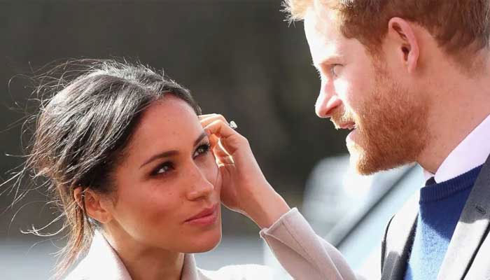 Prince Harry, Meghan Markle branded a petulant child and a B-list actress