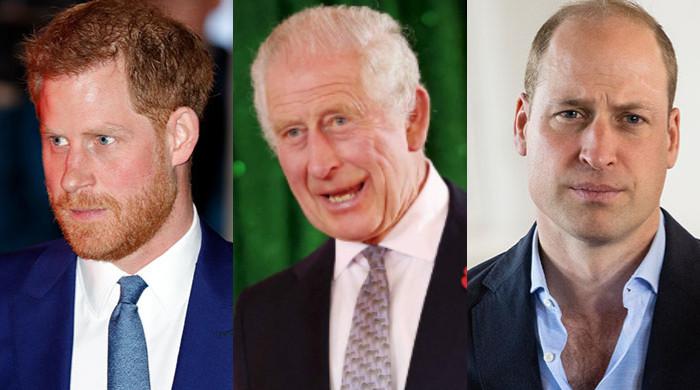 Real reason Prince Harry has to see Prince William, King Charles on UK visit