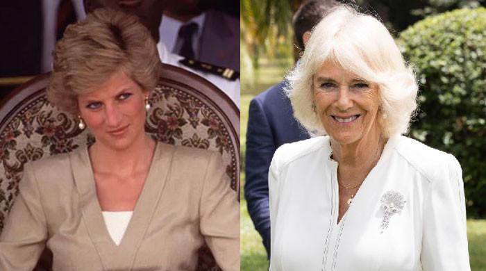 Queen Camilla’s public perception shifts years after Princess Diana’s death