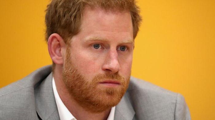 Prince Harry's entitlement towards royal protocol rubbished