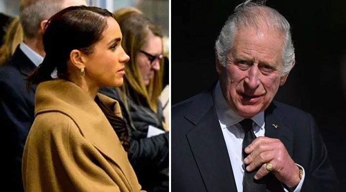 Meghan Markle acting as a lion exploiting vulnerabilities in the King’s health