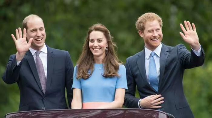 Prince Harry makes big announcement about meeting King Charles, Kate Middleton during UK visit