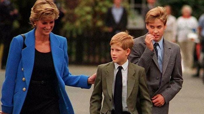 Princess Diana’s last wish for sons Prince William, Harry laid bare