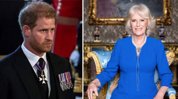 Queen Camilla son ‘sending a message’ to Prince Harry with new book