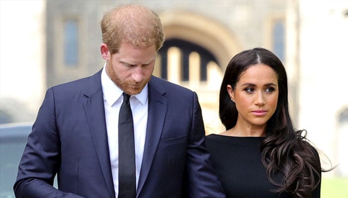 Meghan Markle called a prickly porcupine thats trigger happy: ‘Harry shouldve ran