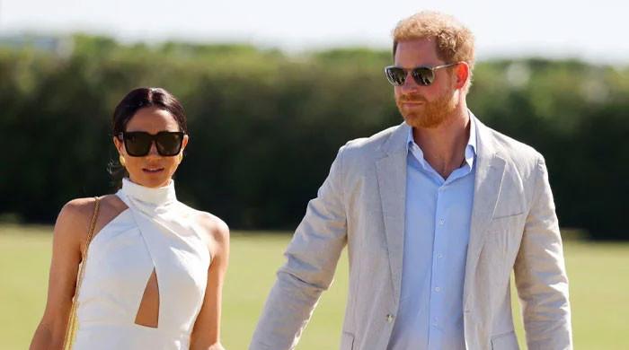 Meghan Markle, Prince Harry let slip truth of relationship