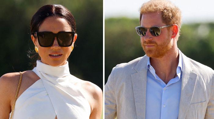 Meghan Markle branded a master of ‘luring’ as Harry isolates from old friends