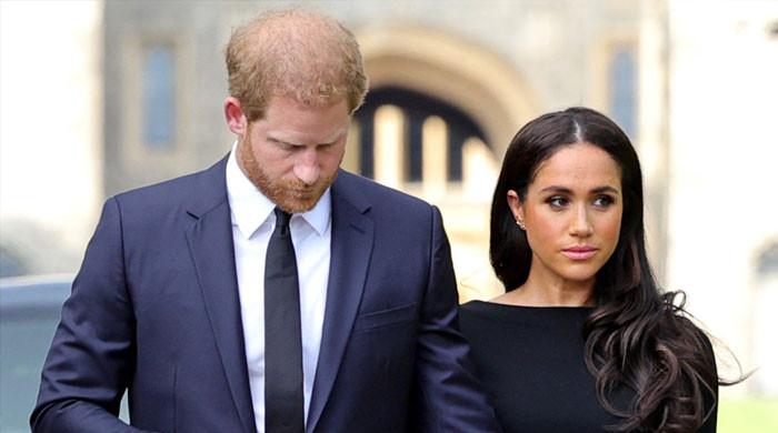 Meghan Markle called a prickly porcupine that’s trigger happy: ‘Harry should’ve run’