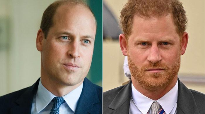 Prince Harry is running to show the world Prince William’s anger