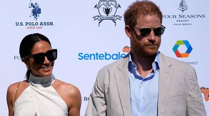 Prince Harry, Meghan Markle are ‘damaging to the commonwealth,’ expert