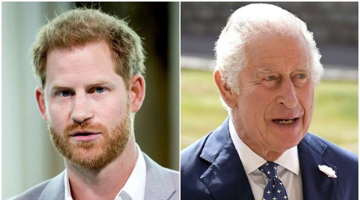 Prince Harry slammed for saying King Charles isn’t ‘made for single parenthood’