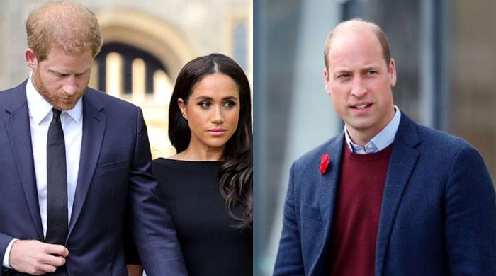 Palace used Harry, Meghan to divert attention from Prince William’s affair