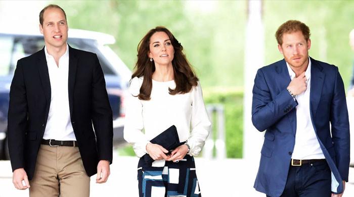 Prince Harry’s remarks about Kate Middleton ‘too raw’ for Prince William to forgive