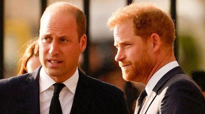 Prince William takes final decision about meeting Prince Harry during May visit