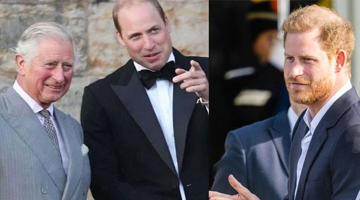 King Charles, Prince William okay with Harry ‘not wanting to be Prince’