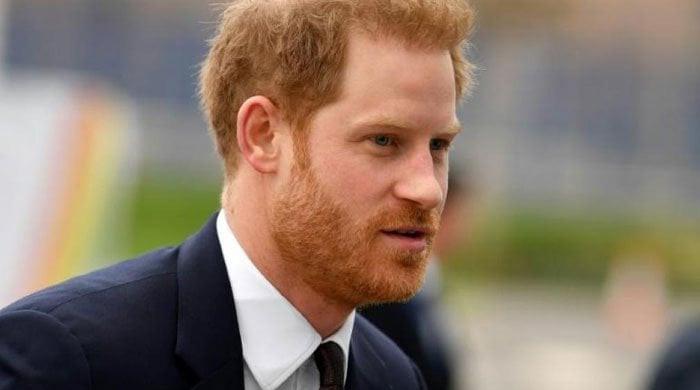 Prince Harry ‘lonely portrait’ as Duke has to live in hotel in UK