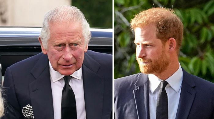 King Charles not available to offer ‘warm reception’ to Prince Harry