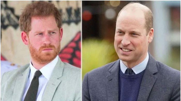 Prince Harry’s US residency called a favor to Prince William for shocking reasons