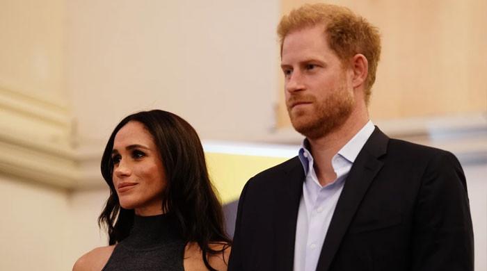 Prince Harry to return to UK without Meghan due to ‘palpable loathing’ towards her