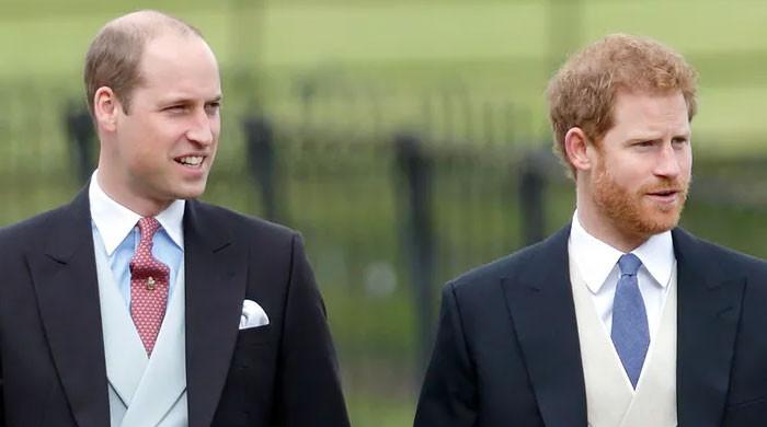 Prince William’s frustration grows as Prince Harry garners more attention