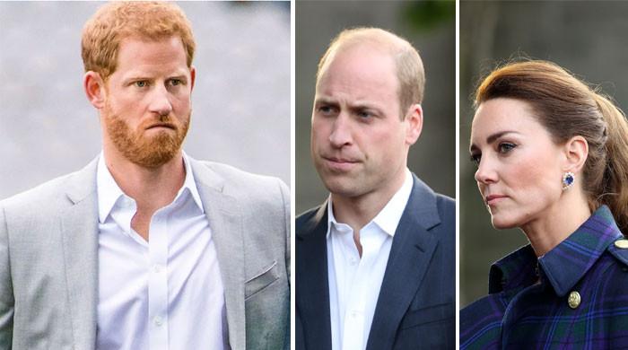 Royal Family ‘cutting off nose’ over Prince Harry’s Invictus Games