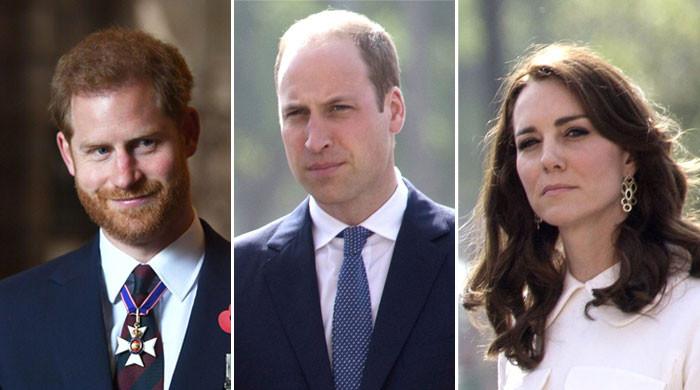 Kate Middleton's thoughts about Prince Harry's get well soon wishes exposed