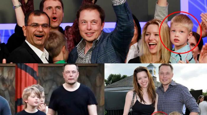 Why Elon Musk wants Americans to breed like rabbits?​Why Elon Musk wants Americans to breed like rabbits?