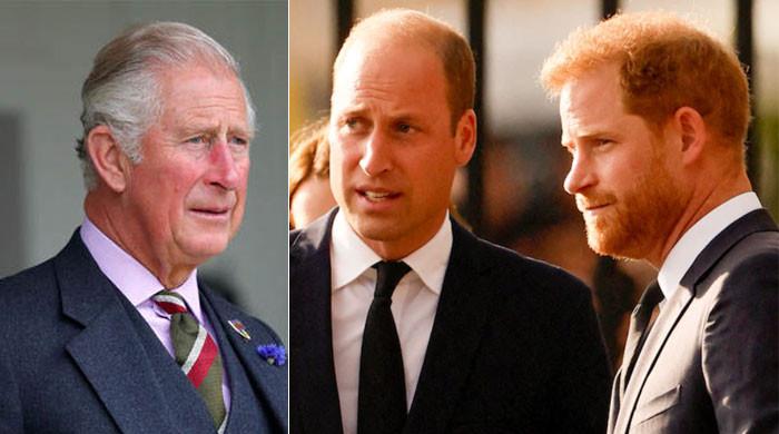 King Charles snubs Prince Harry using Prince William?