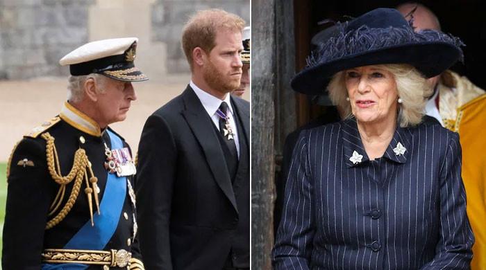 Queen Camilla dubbed major roadblock in Prince Harry, King Charles failed meeting plans