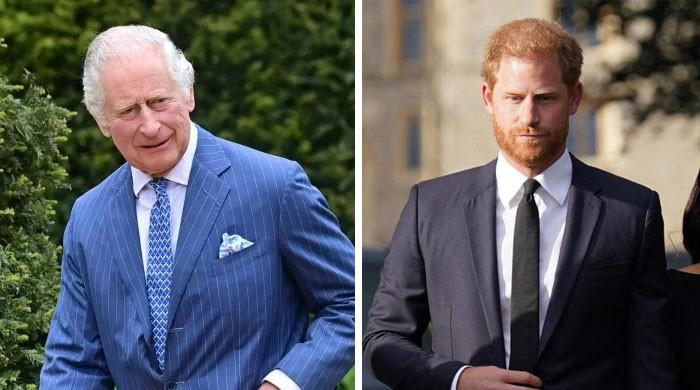 Prince Harry, King Charles have ‘long road’ ahead of ‘healing’