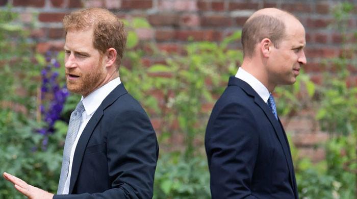 Prince William ‘only works’ when Prince Harry is ‘making news’