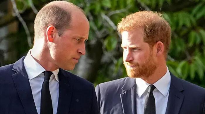 Prince William ignores Prince Harry as if he ‘no longer exists’