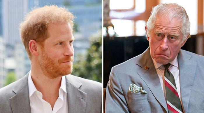 King Charles receives support against ‘publicity circus’ organizer Prince Harry