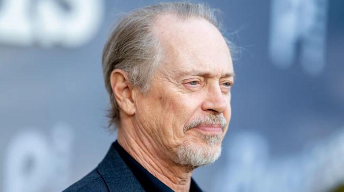 Steve Buscemi faces assault during casual outing