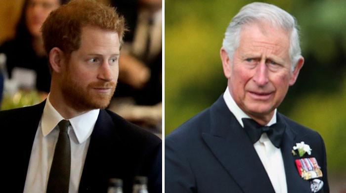 Prince Harry branded a walking bit of background stress to King Charles