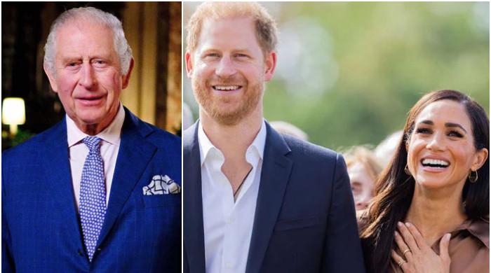 King Charles ‘filled with horror’ at Prince Harry, Meghan Markle’s projects