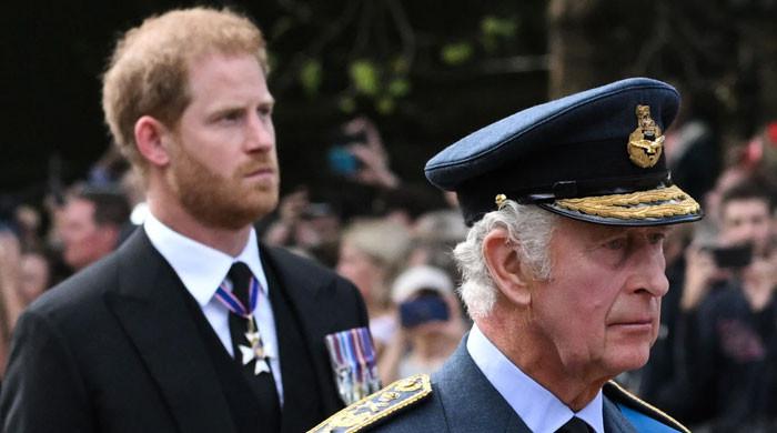 Buckingham Palace received ‘no request’ from Harry to see Charles before UK visit?