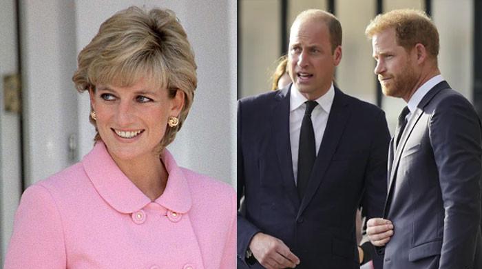 Princess Diana’s family takes sides amid Harry and William’s feud