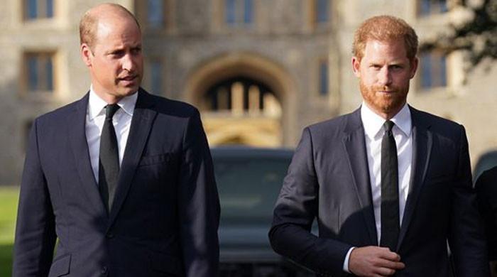 Prince William ‘disowns’ Prince Harry, no hope for reconciliation: Expert