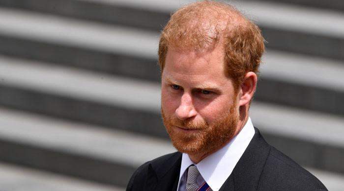 Prince Harry receives support as King Charles deprives him of major role