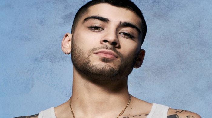 Zayn Malik talks love life after dating app dabble