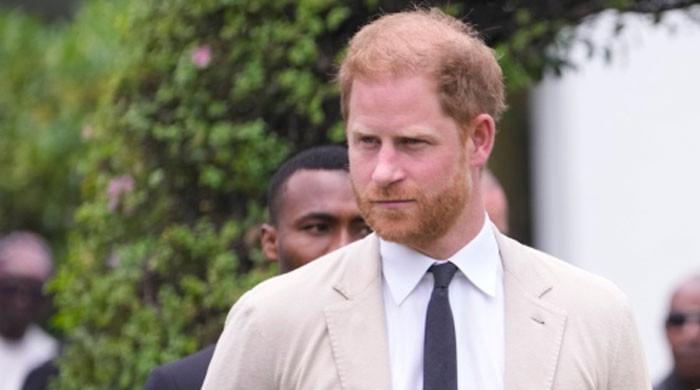 Prince Harry using the Commonwealth as a prop for Brand Sussex