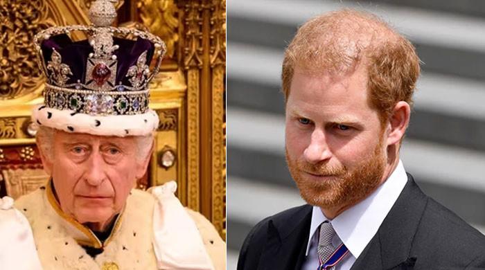 Prince Harry’s determination with King Charles laid bare