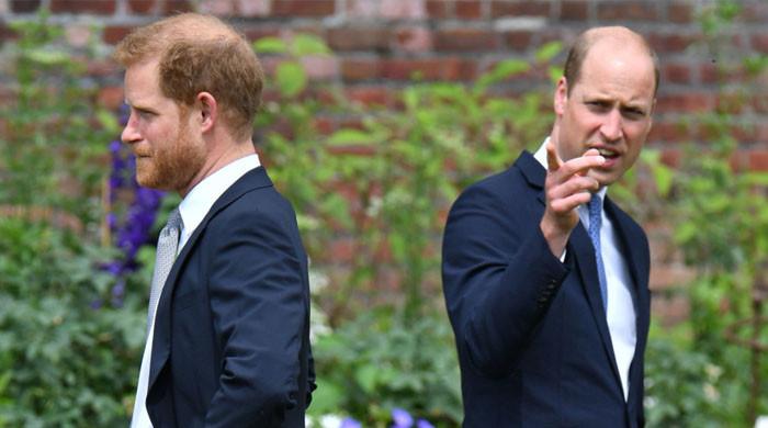 Major sign Prince Harry, Prince William’s feud still ‘firmly cemented’