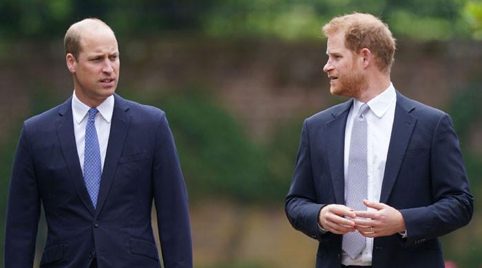 Prince William has ‘no room in his soul’ to worry about Harry, says expert