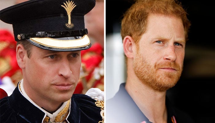 Prince Harry considers himself the only ‘true heir