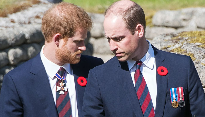 Prince Harry thinks Prince William a ‘goodie goodie who submissively falls in line
